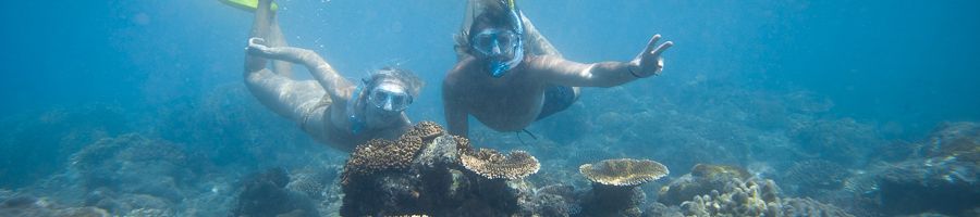 two snorkellers exploring coral reefs in the whitsundays