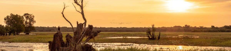 Kakadu Wetlands at Sunset