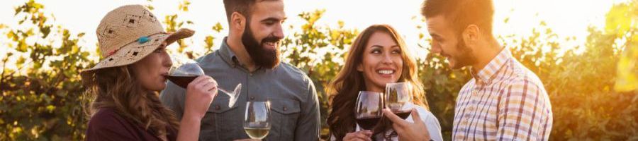 group of people drinking wine and smiling in a vineyard