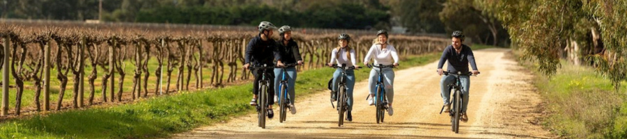 bike riders group riding through vineyard on dirt road