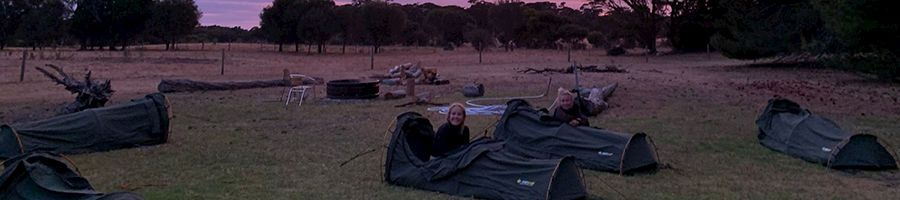 People camping in swags at twilight 