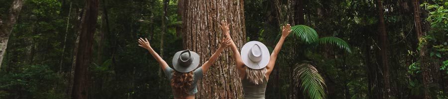travellers posing in front of giant trees in the rainforest on k'gari