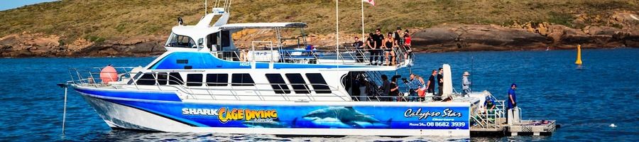 Calypso Star Charters boat in Port Lincoln, South Australia