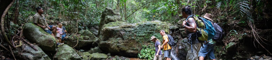 tour group travelling through Daintree Rainforest