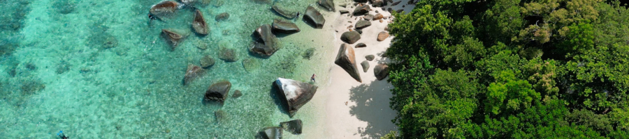 Fitzroy Island bird's eye view of reef, beach and rainforest