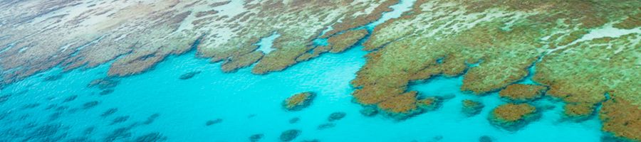 aerial view of coral reefs and blue water on the outer reef