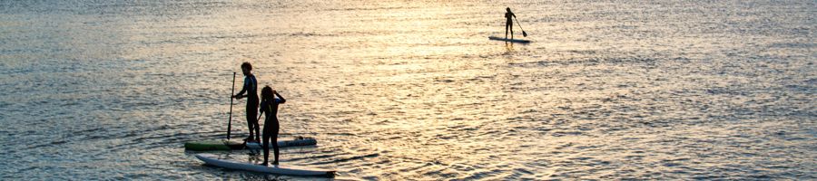 people paddleboarding on the ocean at sunset