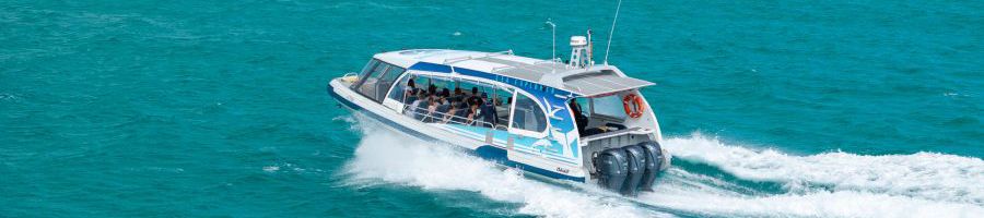 boat cruising through the blue waters of coral sea