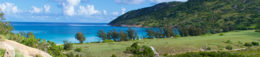 Lizard Island Landscape