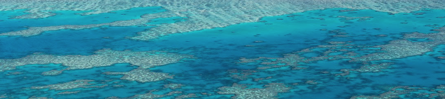 An aerial shot of the Great Barrier Reef