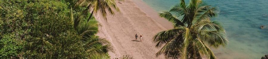 People walking along the beach on Dunk Island