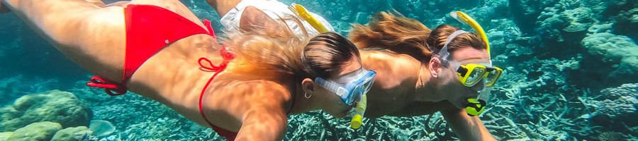 A couple snorkelling in the Great Barrier Reef