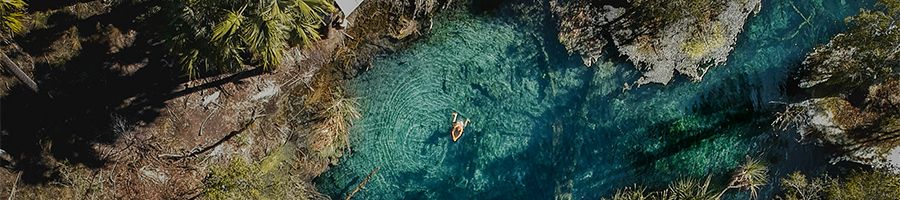 person swimming in the blue waters of mataranka springs