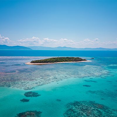 green island on the great barrier reef near cairns