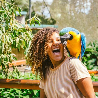 girl with a parrot on her shoulder in kuranda cairns