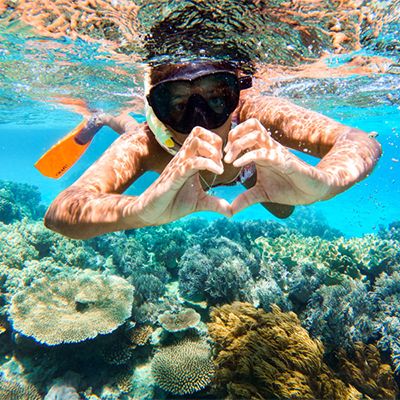 person snorkelling on the great barrier reef