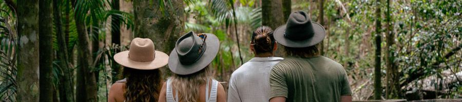 four people walking in kgari rainforest boardwalk