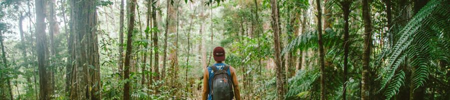 man hiking through rainforest with a backpack