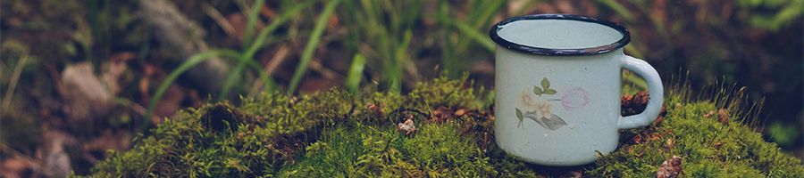 camping mug on a mossy rock in the woods