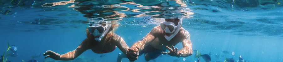 Two people in the ocean underwater with snorkels on