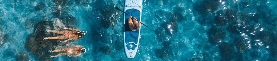 people paddleboarding and snorkelling in the whitsundays