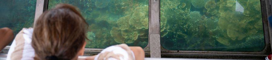 woman admiring coral reefs on a glass bottom boat