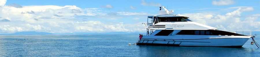 seastar cairns vessel on the great barrier reef