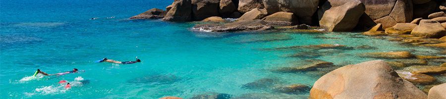 snorkellers in blue waters around fitzroy island