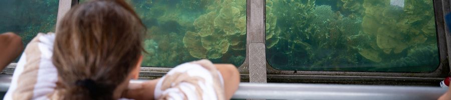 woman observing corals on a glass bottom boat