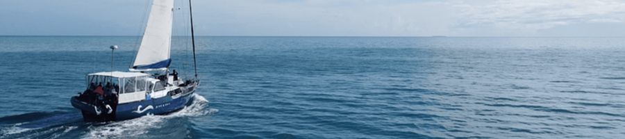 sailboat cruising through the coral sea