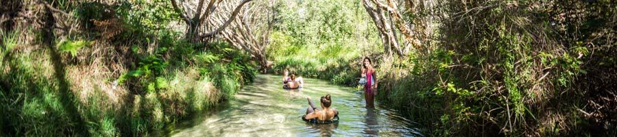 people floating in eli creek kgari fraser island