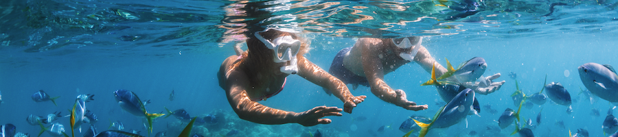 A couple snorkelling underwater