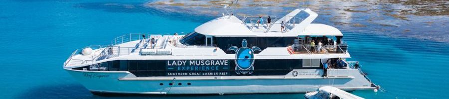 lady musgrave island boat tour on the reef