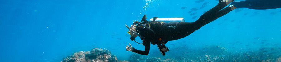 A woman scuba diving on the Great Barrier Reef