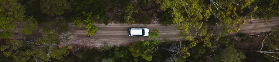 white 4wd driving through kgari rainforest