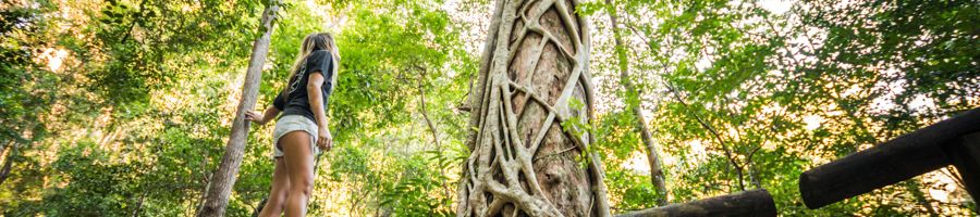 girl walking past giant tree in the forest of kgari