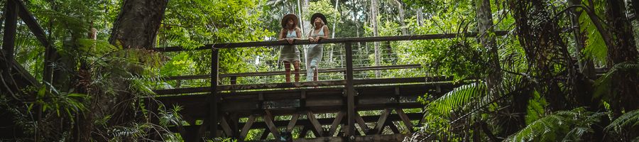two girls on the rainforest boardwalk at central station