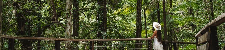 girl admiring the lush forests of kgari central station