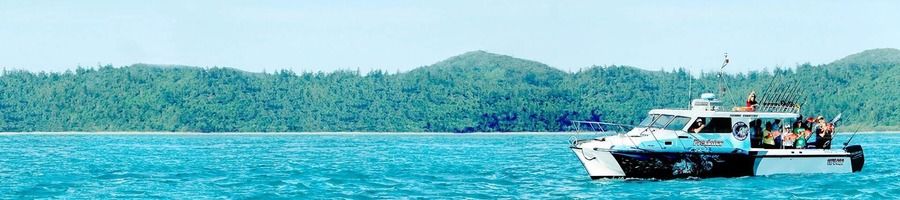 Predator fishing boat in the Whitsundays