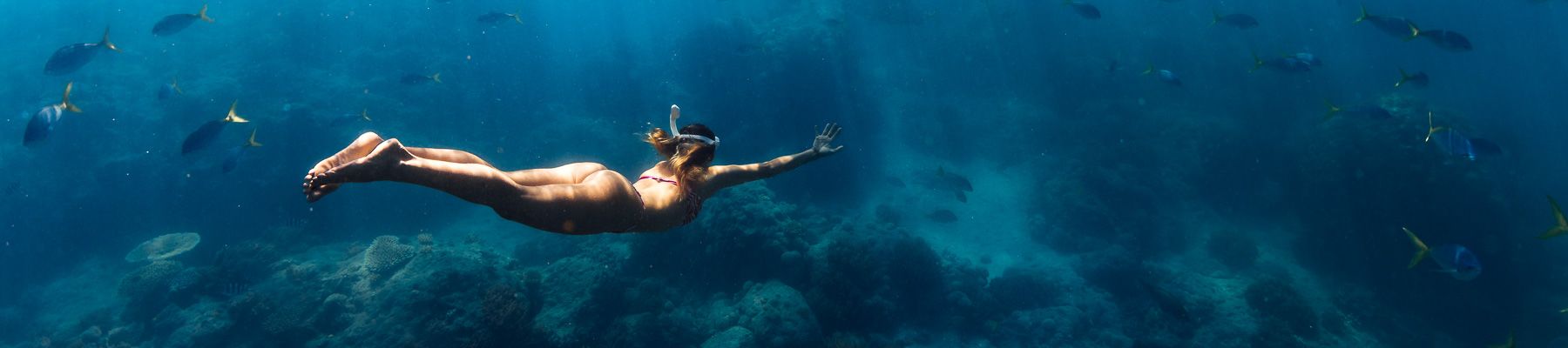 A woman snorkelling on the great barrier reef