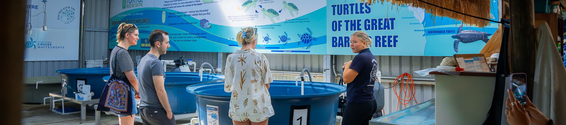 A group of people at a turtle rescue centre