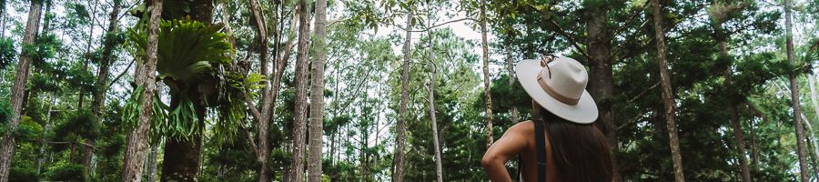 girl admiring the rainforest trees at central station kgari