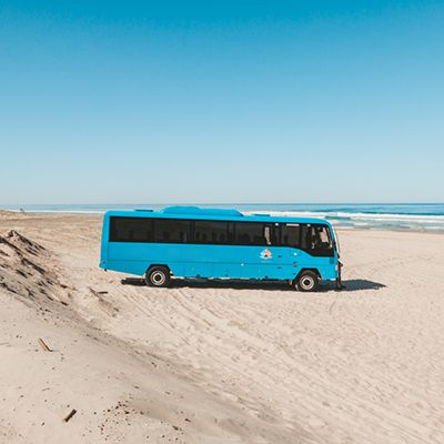 Blue bus on the shores of K'gari (Fraser Island)