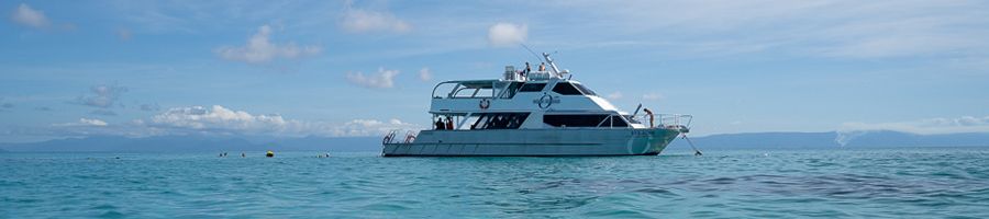 ocean freedom boat cruising on the great barrier reef