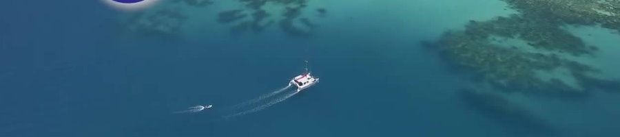 cairns great barrier reef tours catamaran